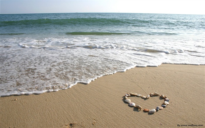 Love on the beach-surrounded by heart-shaped shell Views:50681 Date:2011/7/14 19:36:37