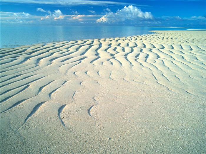 Playa de Maldivas en marea baja fondo de pantalla Vistas:29478