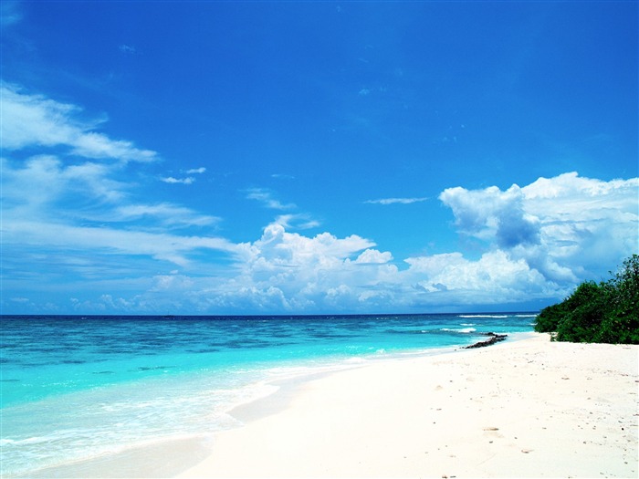 Blue honeymoon paradise - Maldives Wallpaper Views:140998