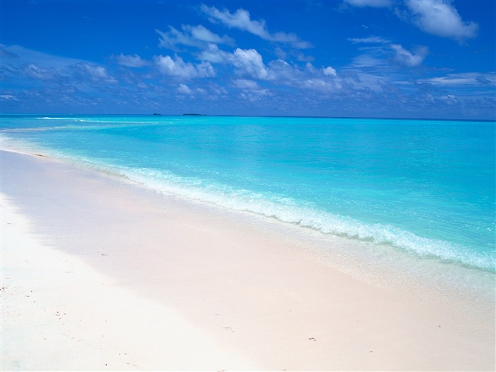 Maldives white beach wallpaper Views:71918 Date:2011/7/29 10:32:19