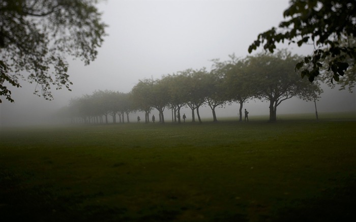 Meadows Park en la espesa niebla escocia Vistas:13177