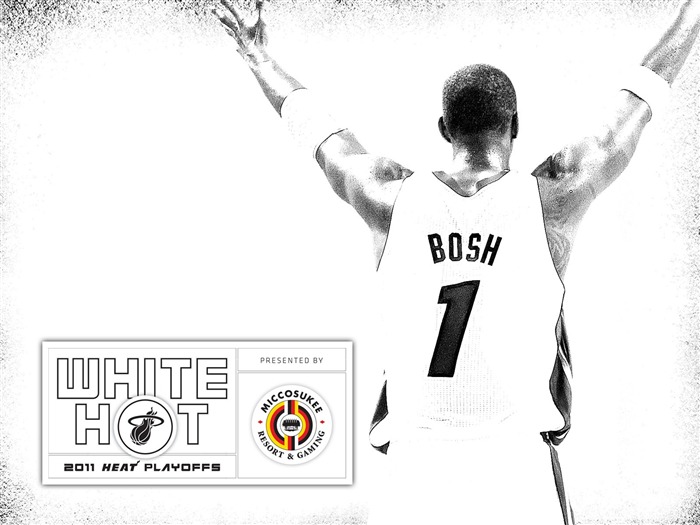 Novo White Hot-Bosh wallpaper 01 Visualizações:10816