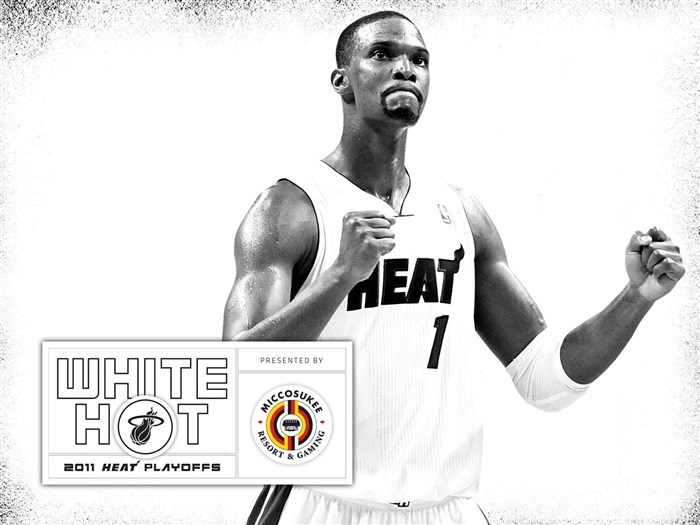 New White Hot-Bosh wallpaper Views:12497 Date:2011/7/21 5:57:58