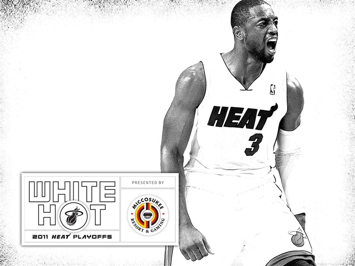 Novo White Hot-Wade Wallpaper 01 Visualizações:26902