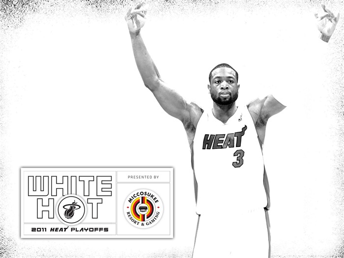 New White Hot-Wade Wallpaper Views:18955 Date:2011/7/21 6:01:36