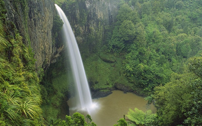 Nueva Zelanda- el fondo de pantalla de la cascada velo de la novia Vistas:11264