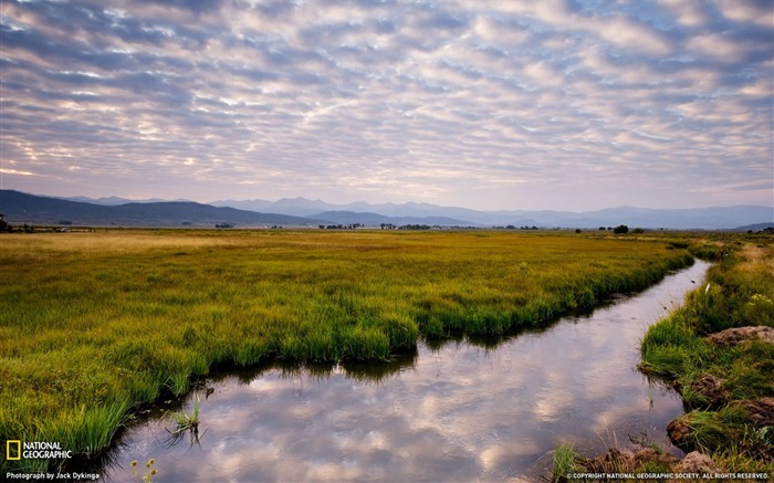 Campo aberto no vale de San Luis Visualizações:10749