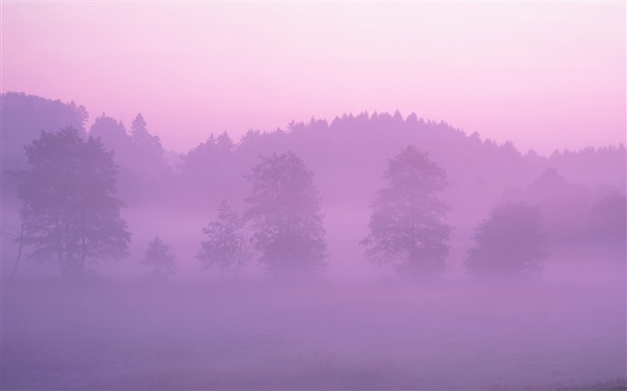 Pink Forest wallpaper Views:40747 Date:2011/7/22 7:08:49