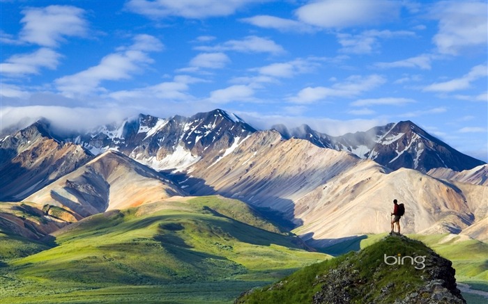 Passe Polychrome surplombant l'Alaska Range parc national de Denali en Alaska Vues:45697