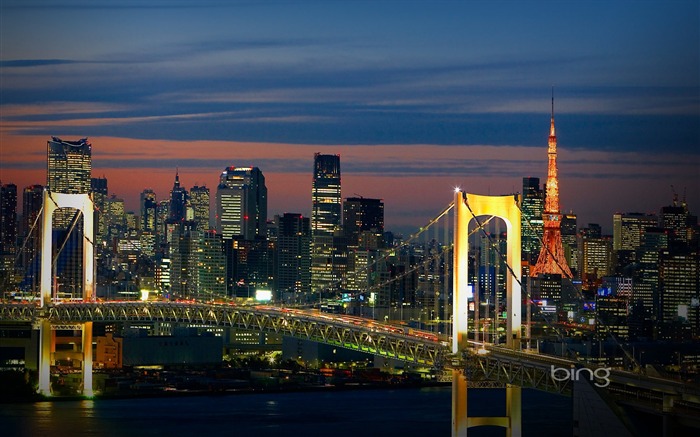 Rainbow Bridge et Tokyo au Japon Skyline Vues:71307