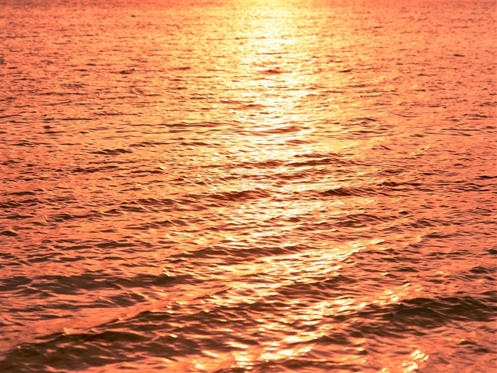 Reflecting the sunset sea wallpaper Views:12467 Date:2011/7/29 10:34:55