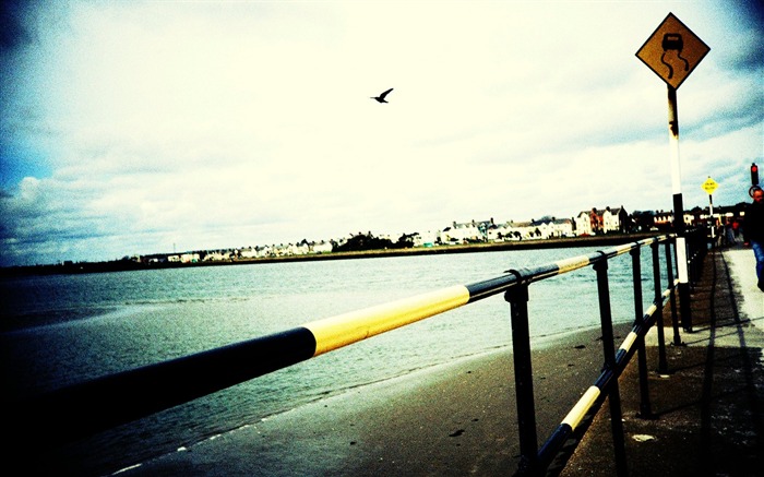 Seagul在天空美丽的Lomo Lomography的 浏览:10969