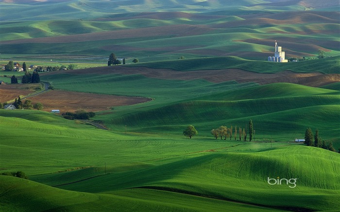 Steptoe Butte State Park Palouse de Washington Vues:19520