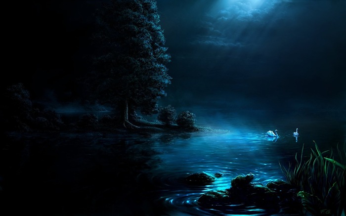 Swan night wallpaper Views:37289 Date:2011/7/8 13:26:17