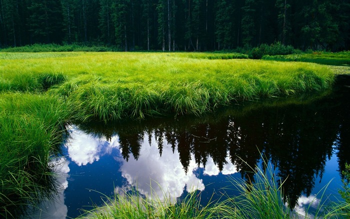 Lo mejor de la naturaleza: el paisaje más hermoso 07 Vistas:15276