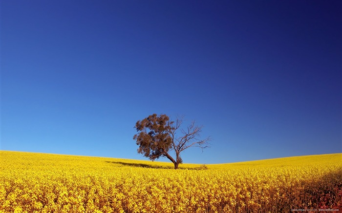 Lo mejor de la naturaleza: el paisaje más hermoso 10 Vistas:19638