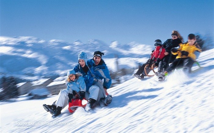 Toggenburg Family sledding in Toggenburg Views:9114 Date:2011/7/6 14:05:31