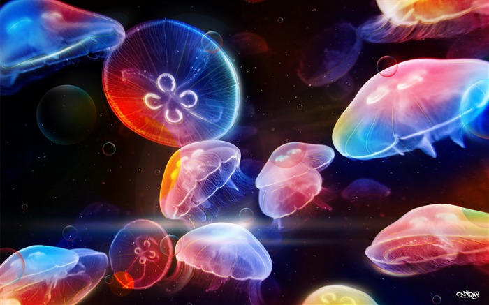 Undersea jellyfish dance PS design wallpaper Views:23571 Date:2011/7/13 6:24:30