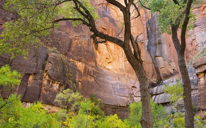 Utah- Fondo de pantalla del Parque Nacional Zion Vistas:8910