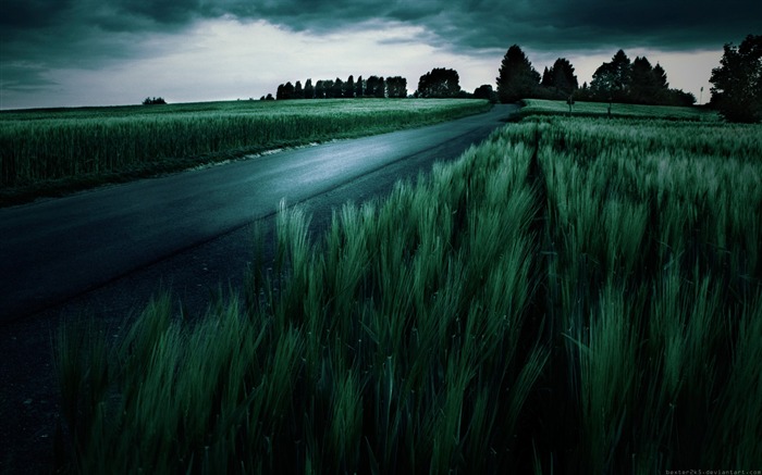 Widescreen Landscape wallpaper dark lines 07 Views:14809 Date:2011/7/5 13:50:44