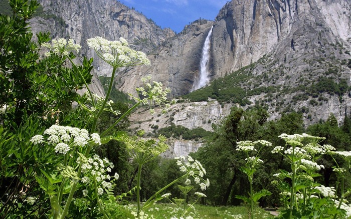 Parque Nacional de Yosemite- Upper Falls fondo de pantalla Vistas:12118