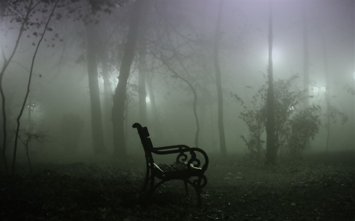 Vous avez un vampire infestés parc wallpaper Roumanie brouillard Vues:25517