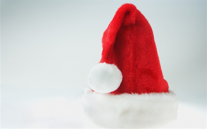 furry Christmas hats wallpaper Views:11680 Date:2011/7/17 10:22:35