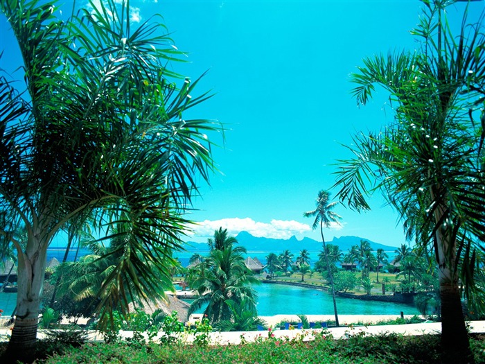 island scenery wallpaper Views:23226 Date:2011/7/29 10:24:33