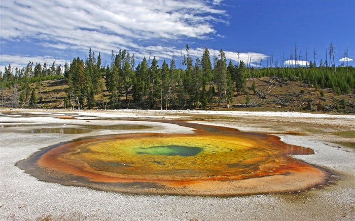 17 Yellowstone National Park primavera quente Visualizações:24722