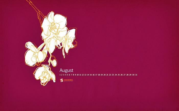 2011年8月 - wallpaperOrchidフラワー ブラウズ:9548