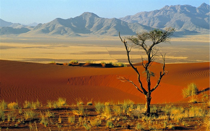 Papel de parede da Namibia-Namib Naturel 30 Visualizações:27156