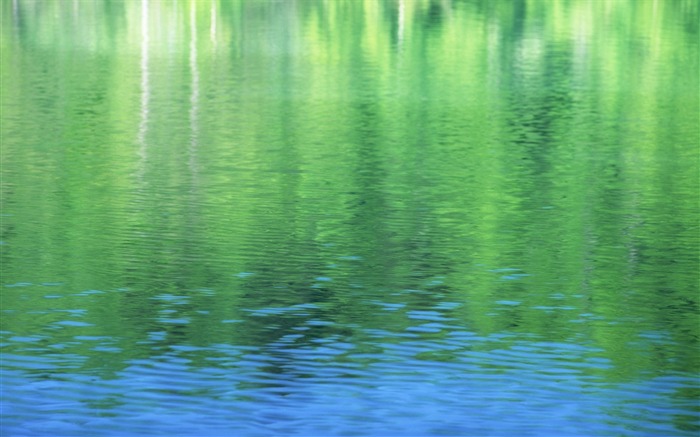 33 foto-árboles reflejados en el árbol de la superficie del agua reflejada en fotos de agua Vistas:9422