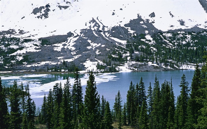 5 papel de parede do Parque Nacional Banff National Park-Bow Lake Visualizações:12934