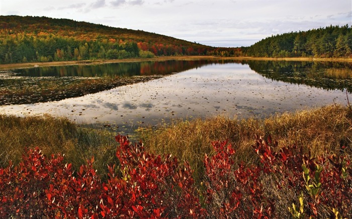 Papel de parede 6 Maine-Acadia National Park Visualizações:12574