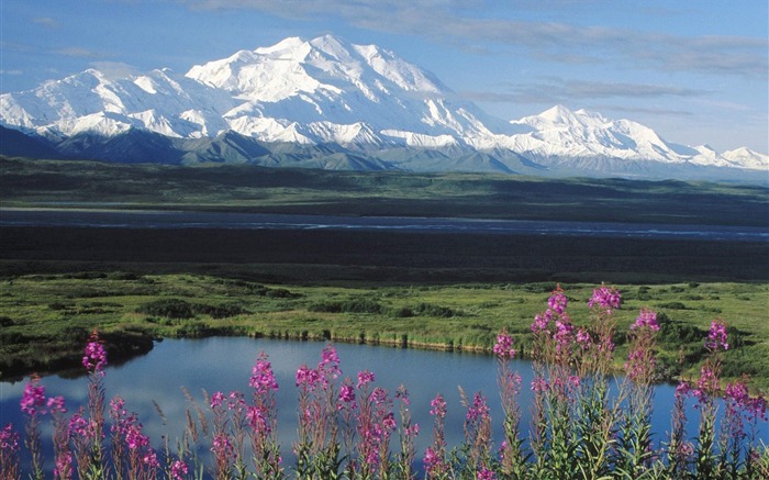 Denali National Park-Mount McKinley Wallpaper Views:24116 Date:2011/8/5 10:07:28