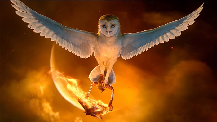 Legend of the Guardians - The Owls of GaHoole movie wallpaper 01 Visualizações:26799