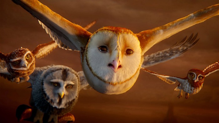 Legend of the Guardians-The Owls of GaHoole movie wallpaper 02 Views:12867 Date:2011/8/19 7:05:06