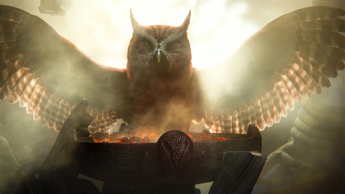 Legend of the Guardians - The Owls of GaHoole movie wallpaper 05 Visualizações:11788