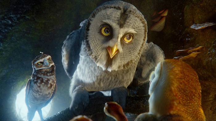 Legend of the Guardians - The Owls of GaHoole filme de papel de parede 10 Visualizações:11692