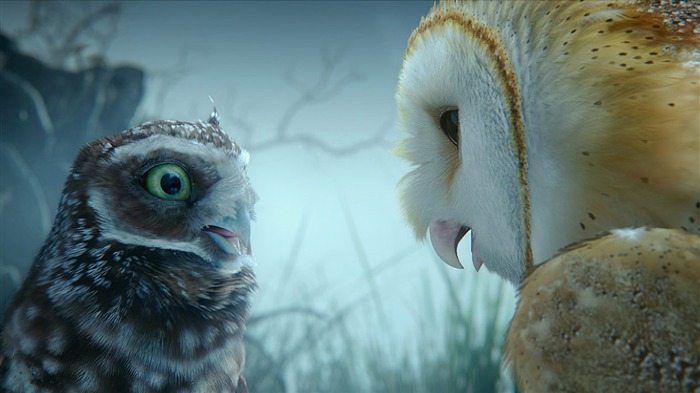 Legend of the Guardians - The Owls of GaHoole movie wallpaper 11 Visualizações:12536