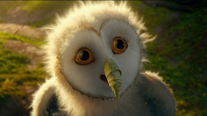 Legend of the Guardians-The Owls of GaHoole movie wallpaper 14 Views:11481 Date:2011/8/19 7:08:40