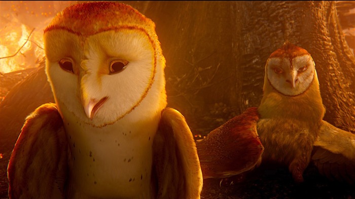 Legend of the Guardians-The Owls of GaHoole movie wallpaper 16 Views:9027 Date:2011/8/19 7:09:21