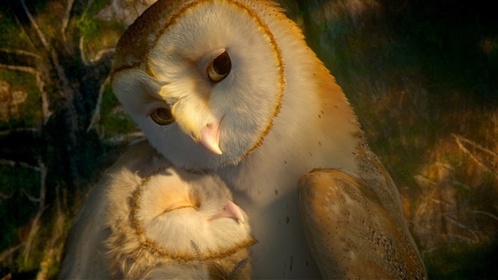 Legend of the Guardians-The Owls of GaHoole movie wallpaper 29 Views:11443 Date:2011/8/19 7:13:31