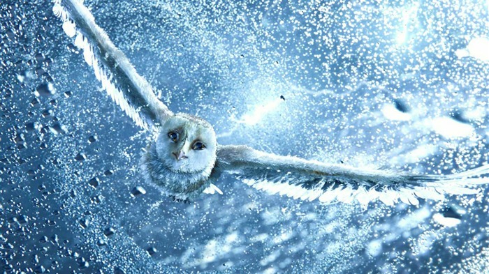 Legend of the Guardians - The Owls of GaHoole movie wallpaper 31 Visualizações:15667