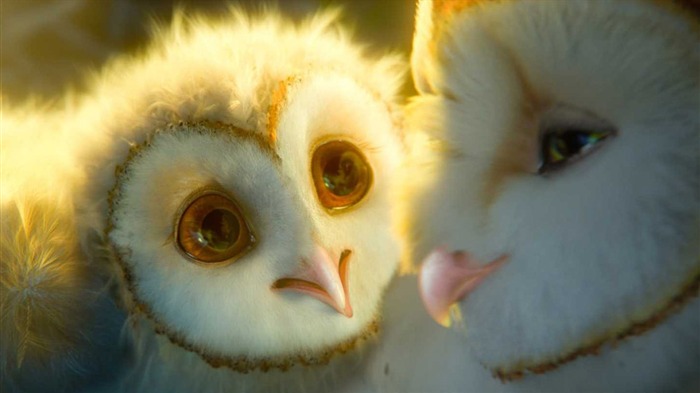 Legend of the Guardians-The Owls of GaHoole movie wallpaper 32 Views:8844 Date:2011/8/19 7:14:35