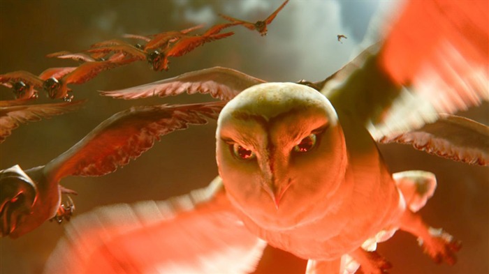 Legend of the Guardians - The Owls of GaHoole movie wallpaper 35 Visualizações:9143