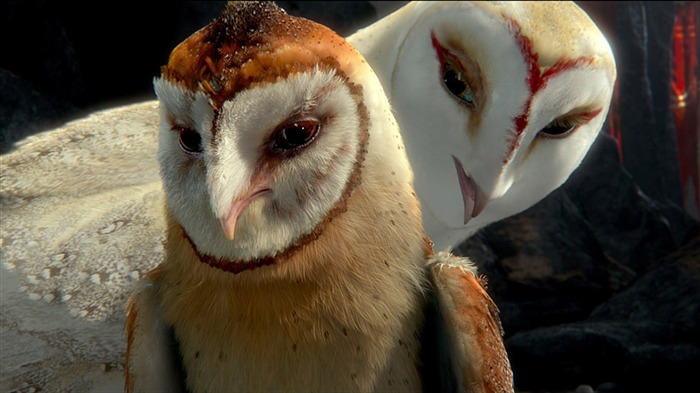 Legend of the Guardians - The Owls of GaHoole movie wallpaper 38 Visualizações:10638