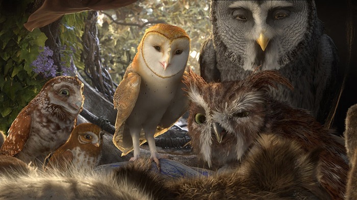 Legend of the Guardians - The Owls of GaHoole movie wallpaper Visualizações:18516