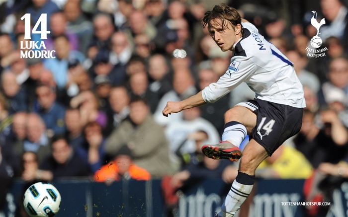 Premier League Football - Tottenham Hotspur temporada 2010-11 - Fondo de pantalla Vistas:28945