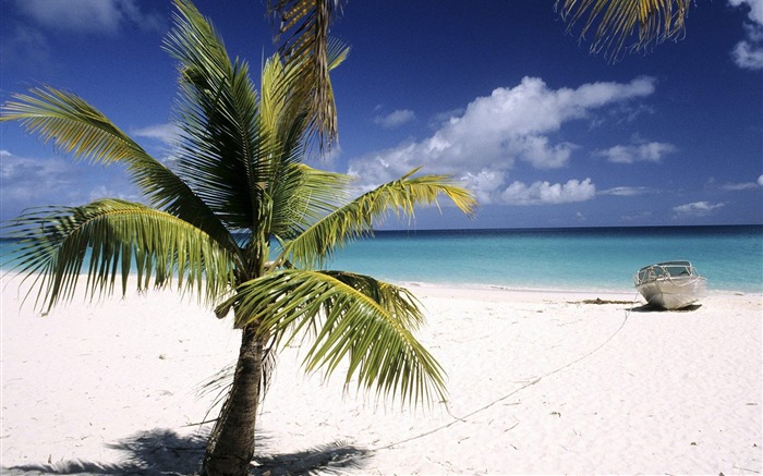 New Caledonia-Loyalty Islands Wallpaper Views:22776 Date:2011/8/5 10:21:25